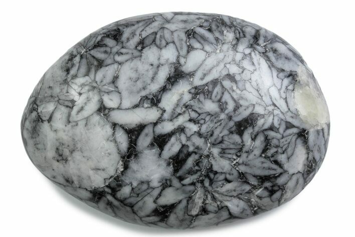 Polished Pinolite Palm Stone - Austria #380864